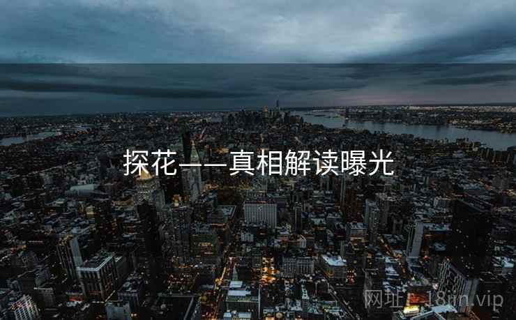 探花——真相解读曝光