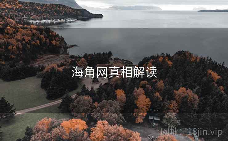海角网真相解读