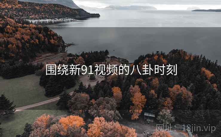 围绕新91视频的八卦时刻