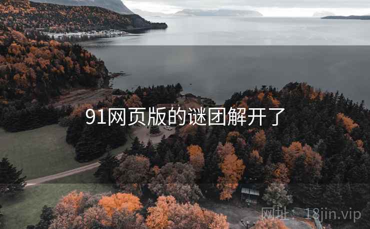 91网页版的谜团解开了