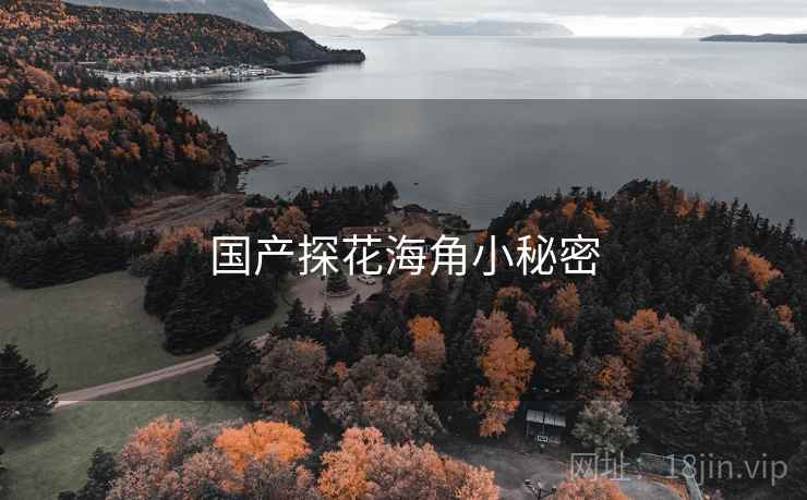 国产探花海角小秘密