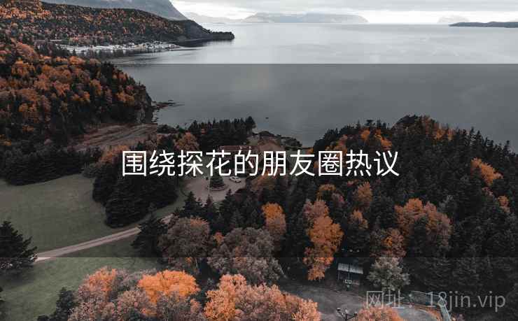 围绕探花的朋友圈热议