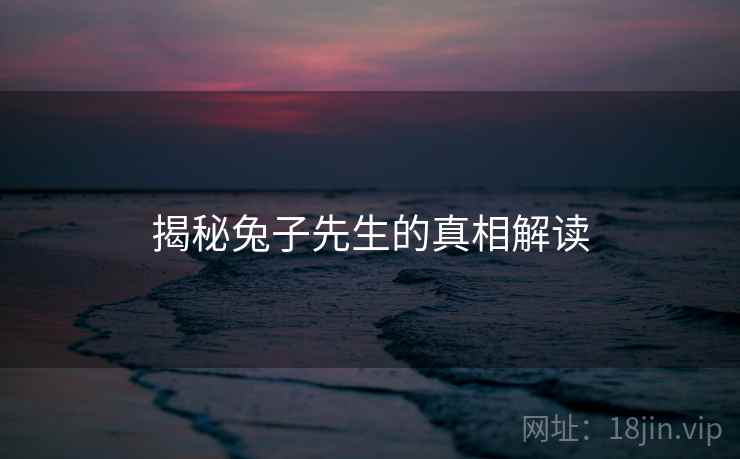 揭秘兔子先生的真相解读